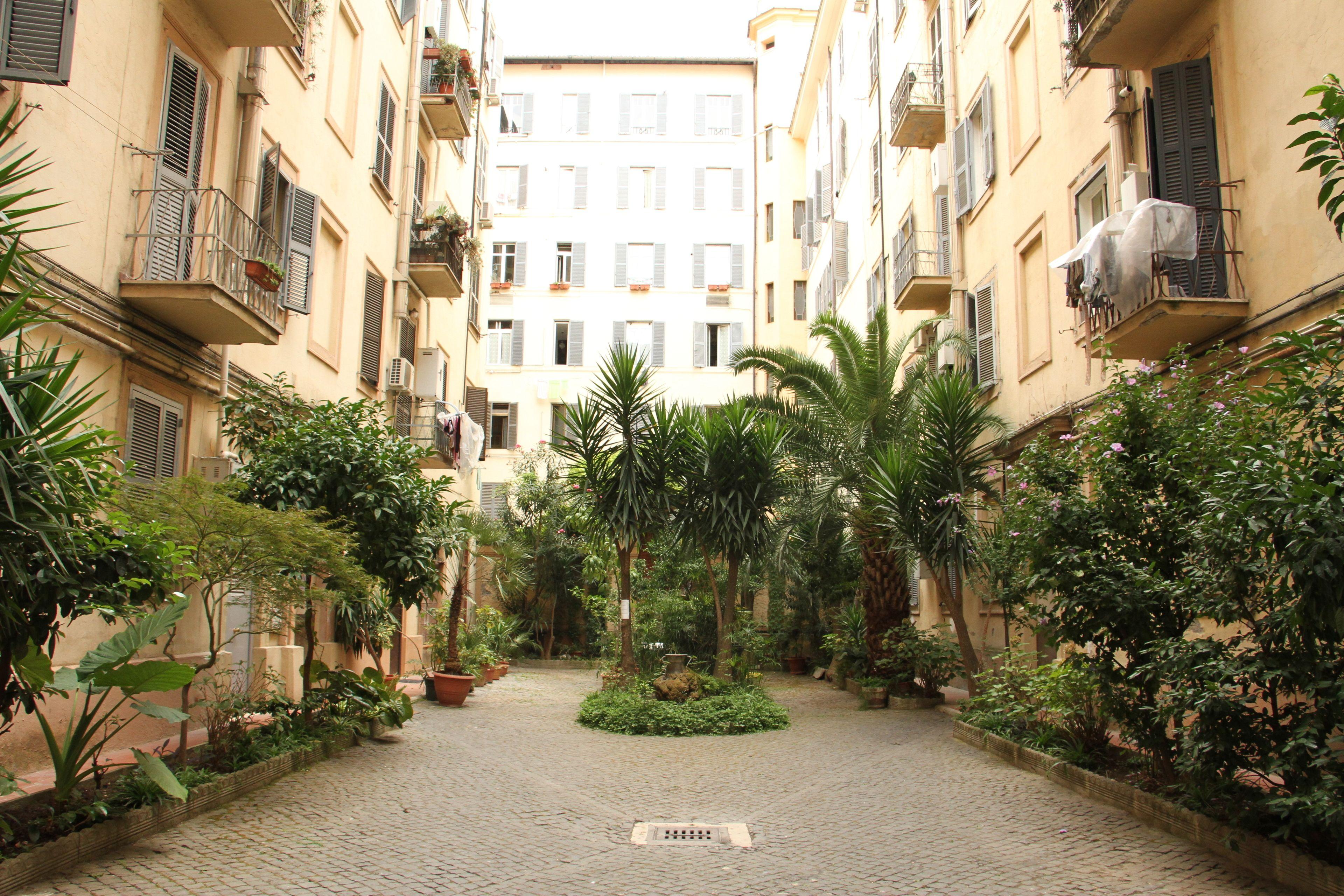 Millyhouse — Foto 2
